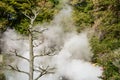 Umi Jigoku or Sea Hell in Beppu