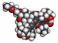 Umirolimus immunosuppressant molecule. Used in drug-eluting coronary stents. Atoms are represented as spheres with conventional