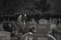 Elderly couple in a cemetery