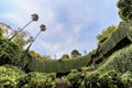 Umpherston Sinkhole in Mount Gambier, South Australia