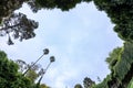 Umpherston Sinkhole in Mount Gambier, South Australia