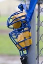 Umpire Mask Royalty Free Stock Photo