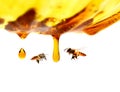 Miel en verre avec l`abeille. Royalty Free Stock Photo