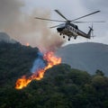 UN helicopter battles forest fire on Lebanons border