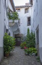 Un hermoso callejÃÂ³n sin salida adornado con verdes macetas y casas de fachada blanca en la villa de Candelario, EspaÃÂ±a