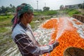 Un-washed and dirty carrots washing a labor on throw the pipe water at Savar, Dhaka, Bangladesh