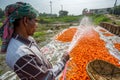 Un-washed and dirty carrots washing a labor on throw the pipe water at Savar, Dhaka, Bangladesh