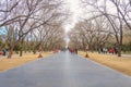 Unacquainted chinese Childen Playing in Temple of Heaven park or Tiantan in Chinese Name in beijing city,China travel