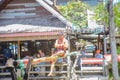 Unacquainted Thai Water boxing in Pattaya Floating Market.Chonburi Thailand Travel