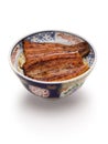 Unadon  charcoal grilled style Unagi eel on rice , Japanese cuisine Royalty Free Stock Photo