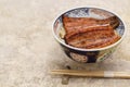 Unadon  charcoal grilled style Unagi eel on rice , Japanese cuisine Royalty Free Stock Photo