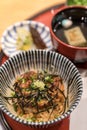 Unadon eel rice bowl Royalty Free Stock Photo