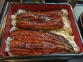 Unadon Unagi Donburi Rice eel kabayaki is seafood. Of Japan By the Japanese fish that was stripped out. Grate and rinse the s