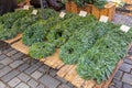 Unadorned advent wreaths for sale on a market