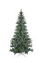 Unadorned Christmas tree, pine isolated on white