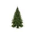 Unadorned Christmas tree, pine isolated on white