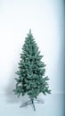 Unadorned Christmas tree, pine isolated on white