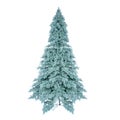 Unadorned Christmas tree, pine isolated on white