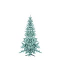 Unadorned Christmas tree, pine on white