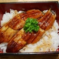 Unagi