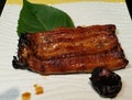 Unagi eel seafood Royalty Free Stock Photo