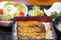 Unagi lunch set - GRILLED EEL Japanese Food