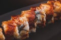 Unagi roll or Japanese grilled eel roll