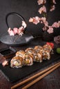 Unagi roll with smoked eel, avocado, cream with Philadelphia cheese, tobiko caviar. Sushi menu. Royalty Free Stock Photo