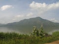 Unare lagoon coastal wetland in Venezuela