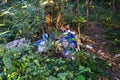 Unauthorized landfill in the forest. Pollution of nature. Bad ecology