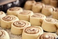 Unbaked cinnamon rolls, ready to go into the oven