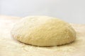 Unbaked loaf of bread in a bakery Royalty Free Stock Photo