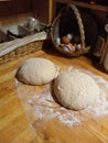 unbaked loaves of bread dough rising on the counter