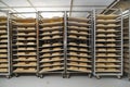 Unbaked loaves of bread in a proofing room