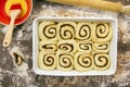 Unbaked and proved cinnamon rolls Royalty Free Stock Photo