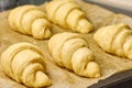 Unbaked raw croissants on a black tray with baking paper. Process of preparation of dessert from yeast dough. Concept of Royalty Free Stock Photo