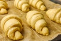 Unbaked raw croissants on a black tray with baking paper. Process of preparation of dessert from yeast dough. Concept of Royalty Free Stock Photo