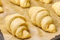 Unbaked raw croissants on a black tray with baking paper. Process of preparation of dessert from yeast dough. Concept of Royalty Free Stock Photo