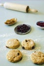 Unbaked scone and cranberries Royalty Free Stock Photo