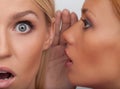It is unbelievable! Close-up of two beautiful young women gossip Royalty Free Stock Photo