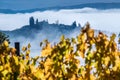 Unbelievable early first sunrise rays foggy landscape view agriturismo farmland covered with morning mist. Yellow autumn vineyard Royalty Free Stock Photo