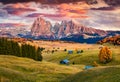 Unbelievable sunrise on Alpe di Siusi mountain plateau with beautiful yellow larch trees and Langkofel Sassolungo mountain on ba