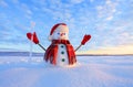 Unbelievable sunrise. Happy snowman in hat, scarf, red gloves with ice pikestaff is standing on the snow lawn.