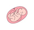 Unborn baby flat vector illustration. Healthy fetal, embryo outline color icon. Obstetrics clinic, maternity hospital