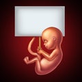 Unborn Baby Message Royalty Free Stock Photo