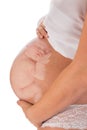 Unborn baby in pregnant belly Royalty Free Stock Photo