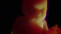 Unborn Baby in the Womb 4K 3D HD Animation