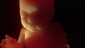 Unborn Baby in the Womb 4K 3D HD Animation