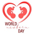 Unborn twin babies in a pink heart. World Newborn Day. Poster, print, postcard