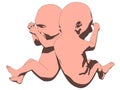 Unborn twins Royalty Free Stock Photo